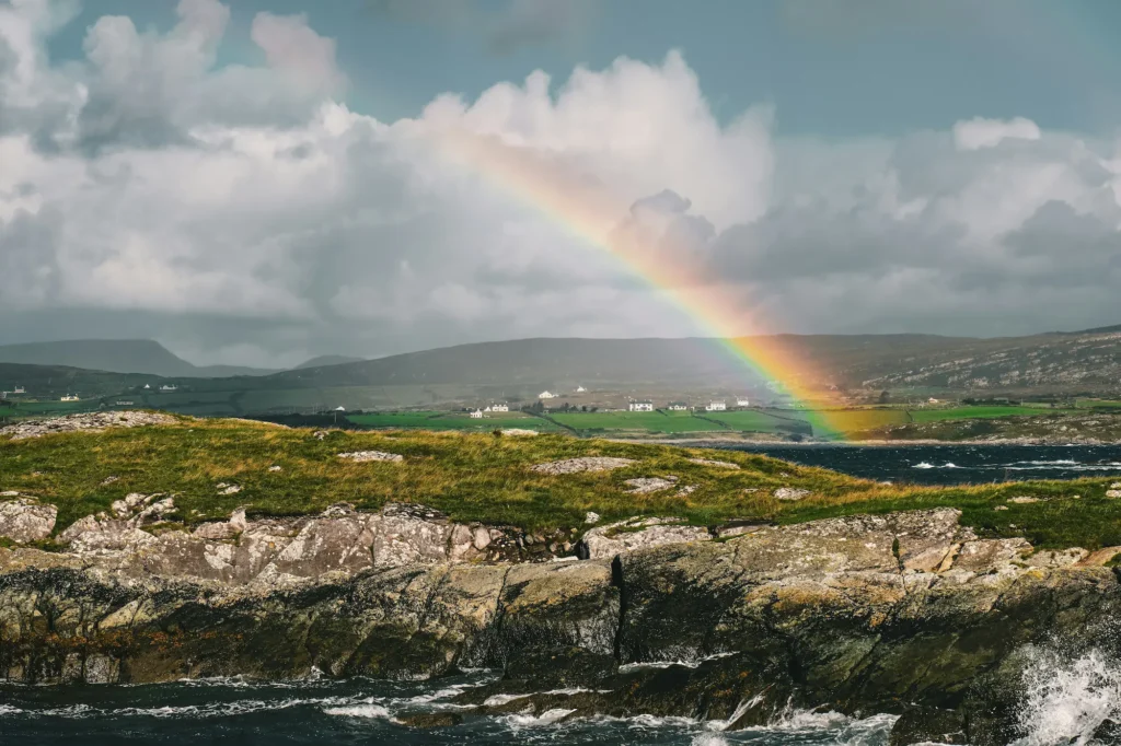 Irish Nature 3